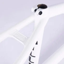 Biggie Frame / devon smillie signature / white<CULT CREW Clearance